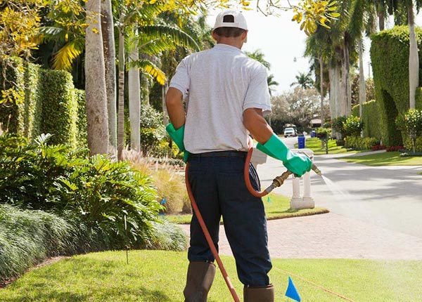 About Elk City ID Pest Control